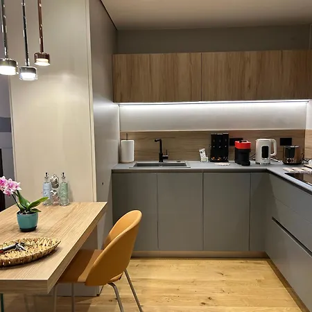 公寓 Exclusive Flat On With Panoramic Views 科莫